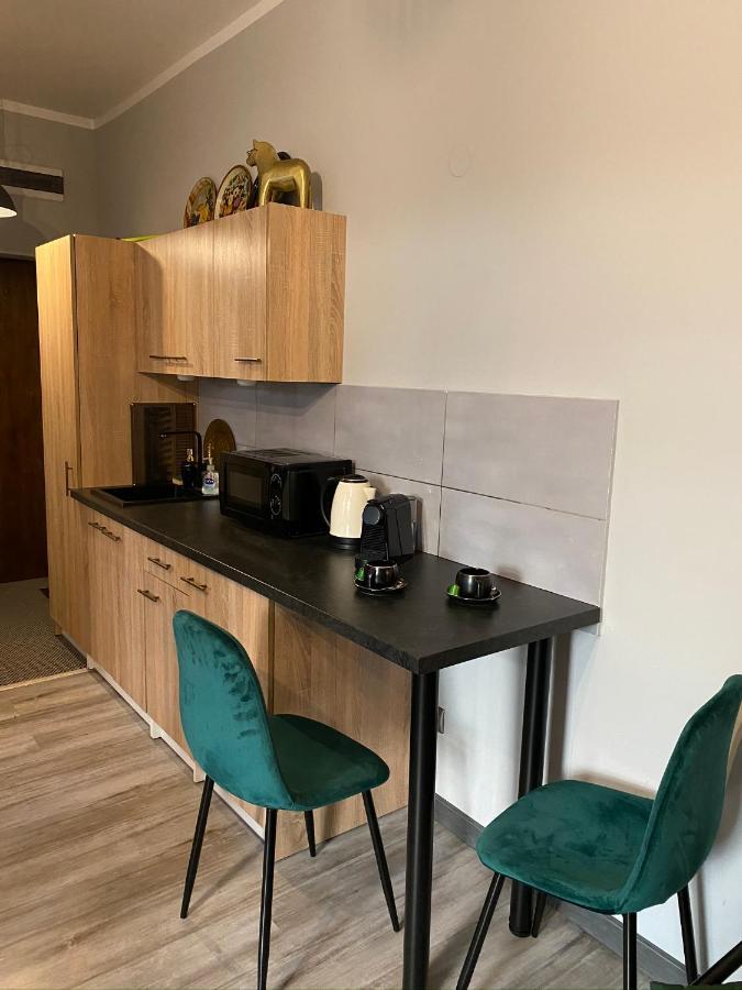 Apartament Czarne Zloto Katowice Exterior foto